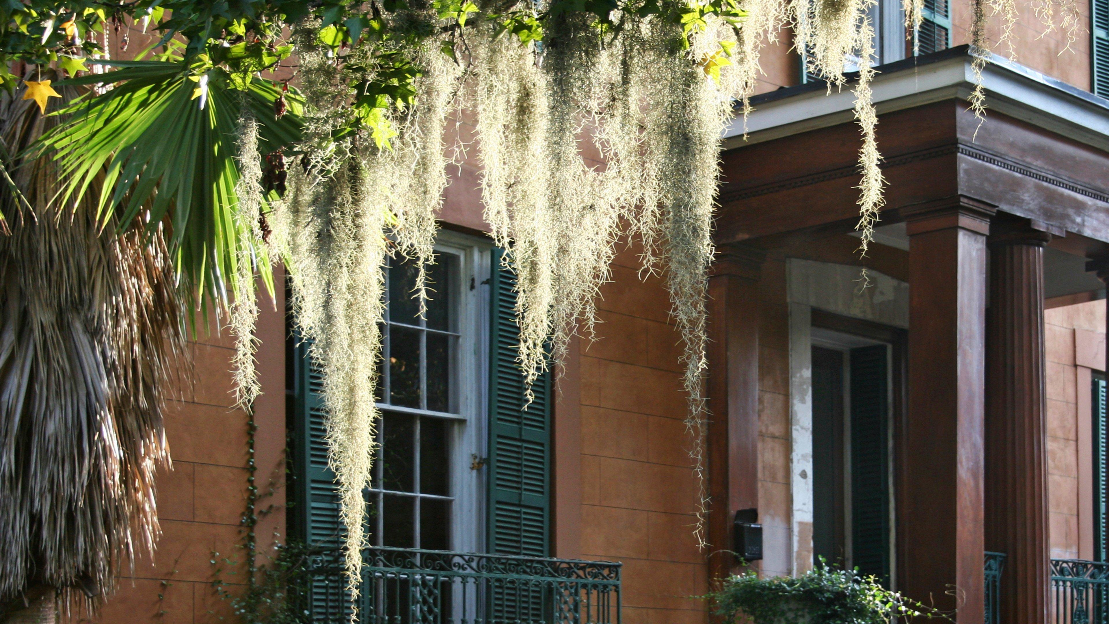 Hotel Indigo Savannah Historic District By Ihg Exterior photo