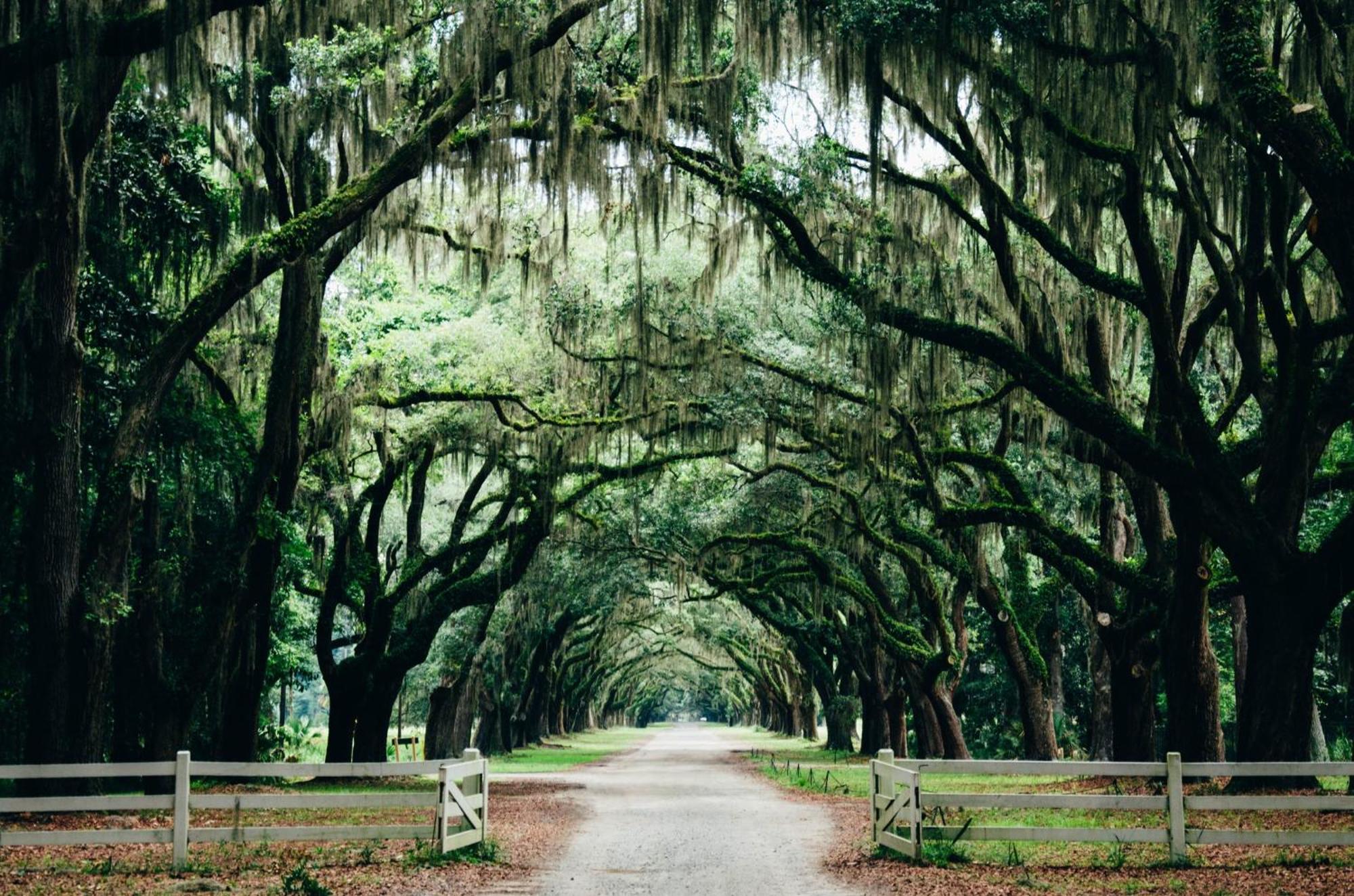 Hotel Indigo Savannah Historic District By Ihg Exterior photo